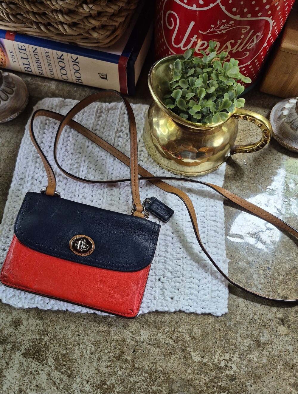 COACH Park Dylan Color Block Leather Swingpack Crossbody Small Wallet Bag